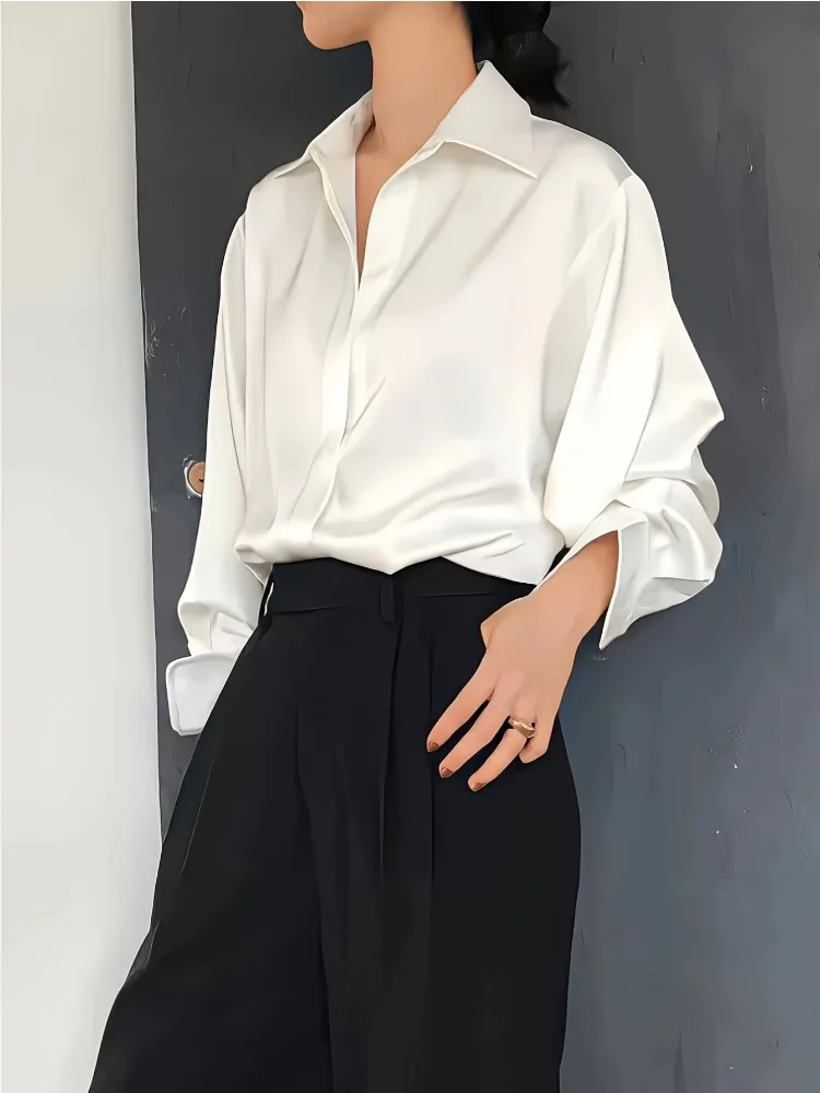 Plus Größe Casual Frauen Seide – Silk Blouse Bewertung und Preis